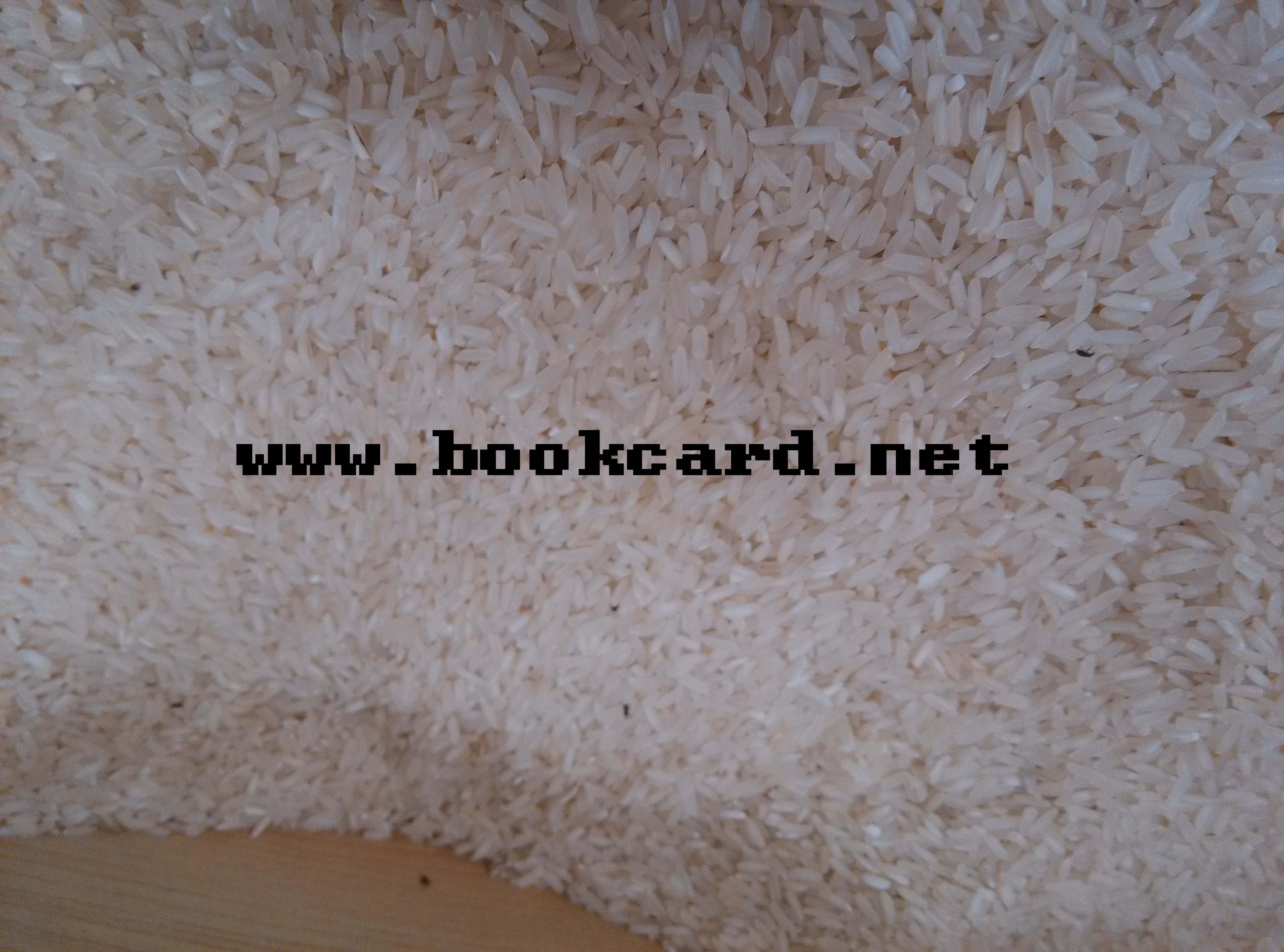 大米-防虫,防谷藕