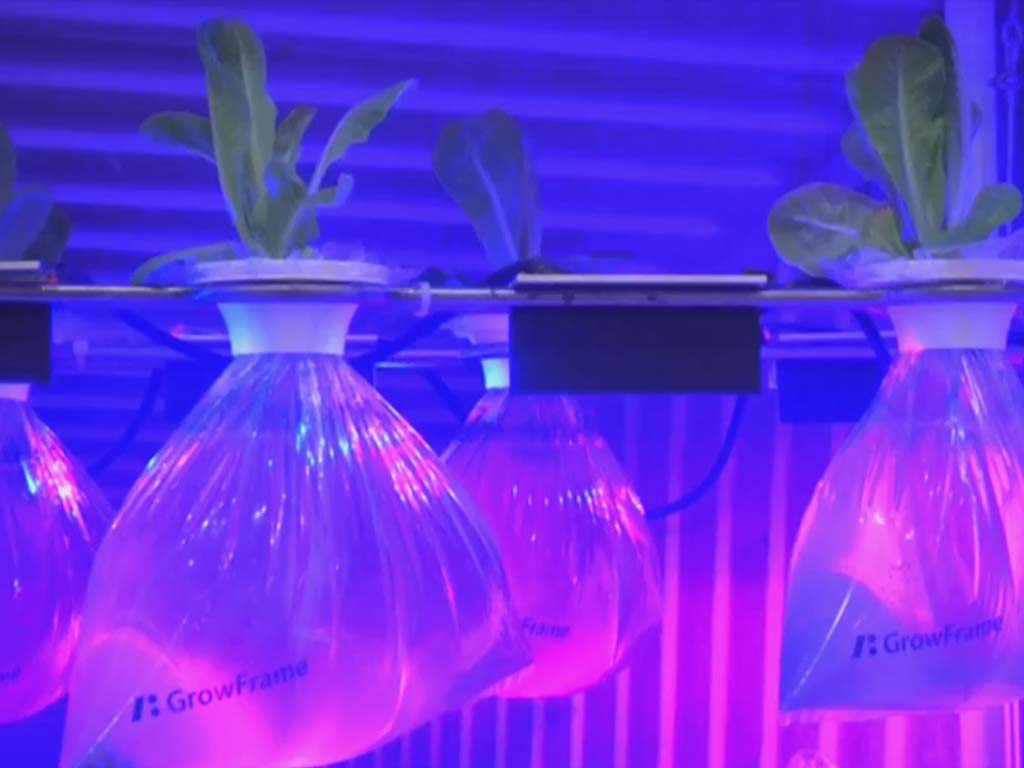 可折疊式水育農場