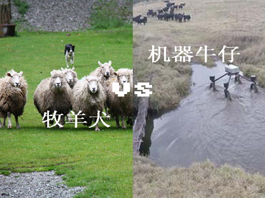 牧羊犬vs机器牛仔