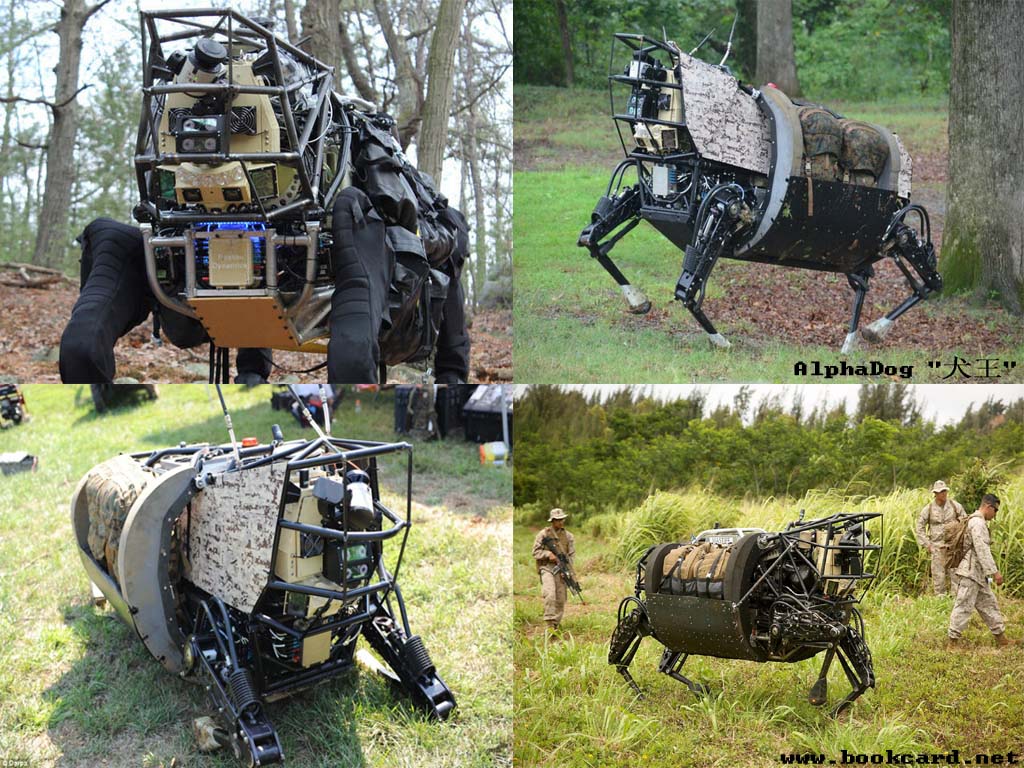 AlphaDog“犬王”