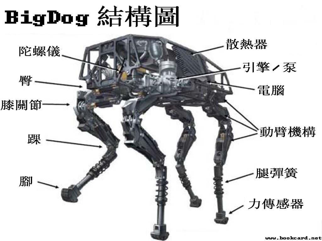 BigDog 大狗