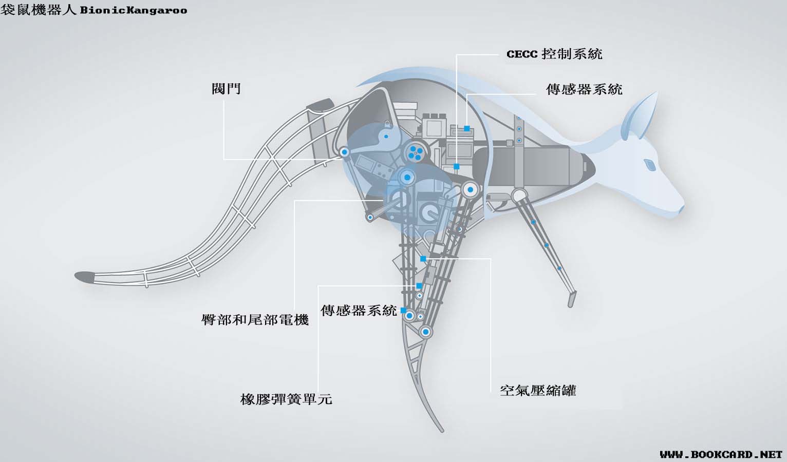 袋鼠機器人BionicKangaroo