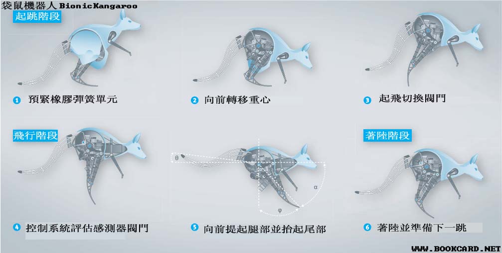 袋鼠機器人BionicKangaroo