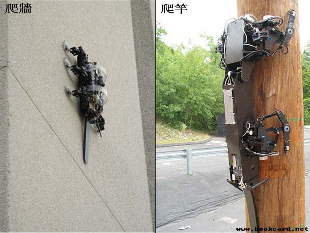 RISE四足爬牆機器人