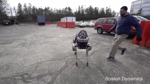 被猛踢一腳也不跌的驚人平行力