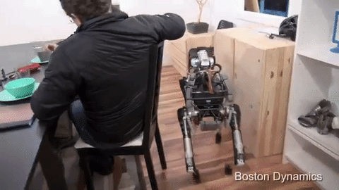 躲避各種桌椅櫥櫃等傢俱.