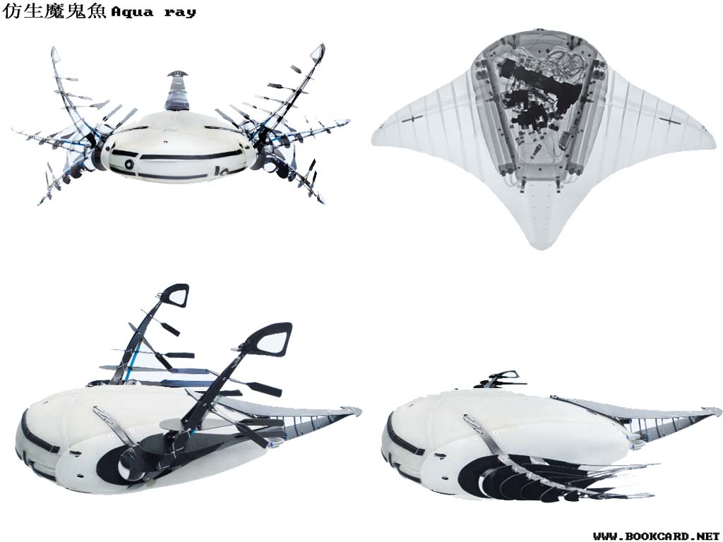 仿生魔鬼魚Aqua ray