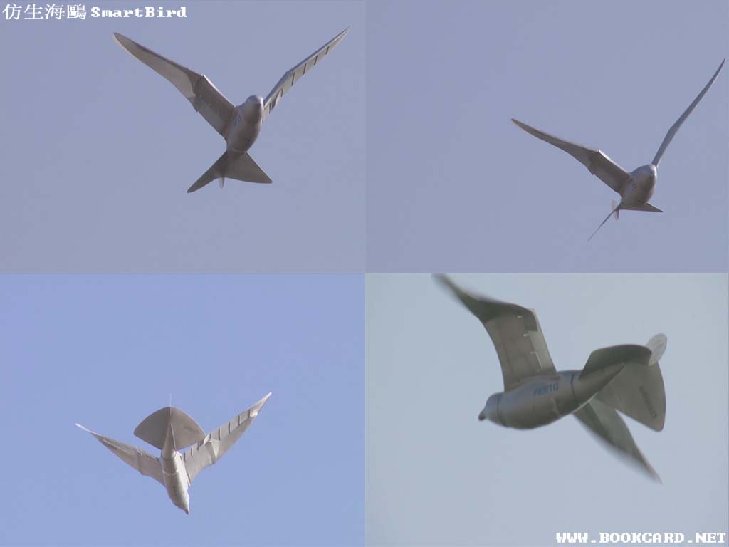 仿生海鷗SmartBird