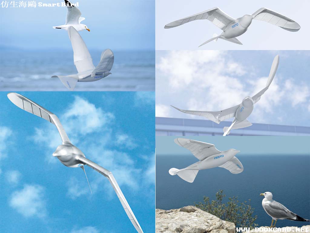 仿生海鷗SmartBird