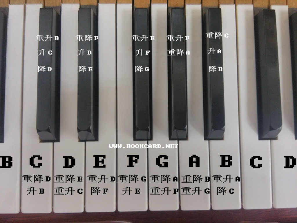 鋼琴-音名