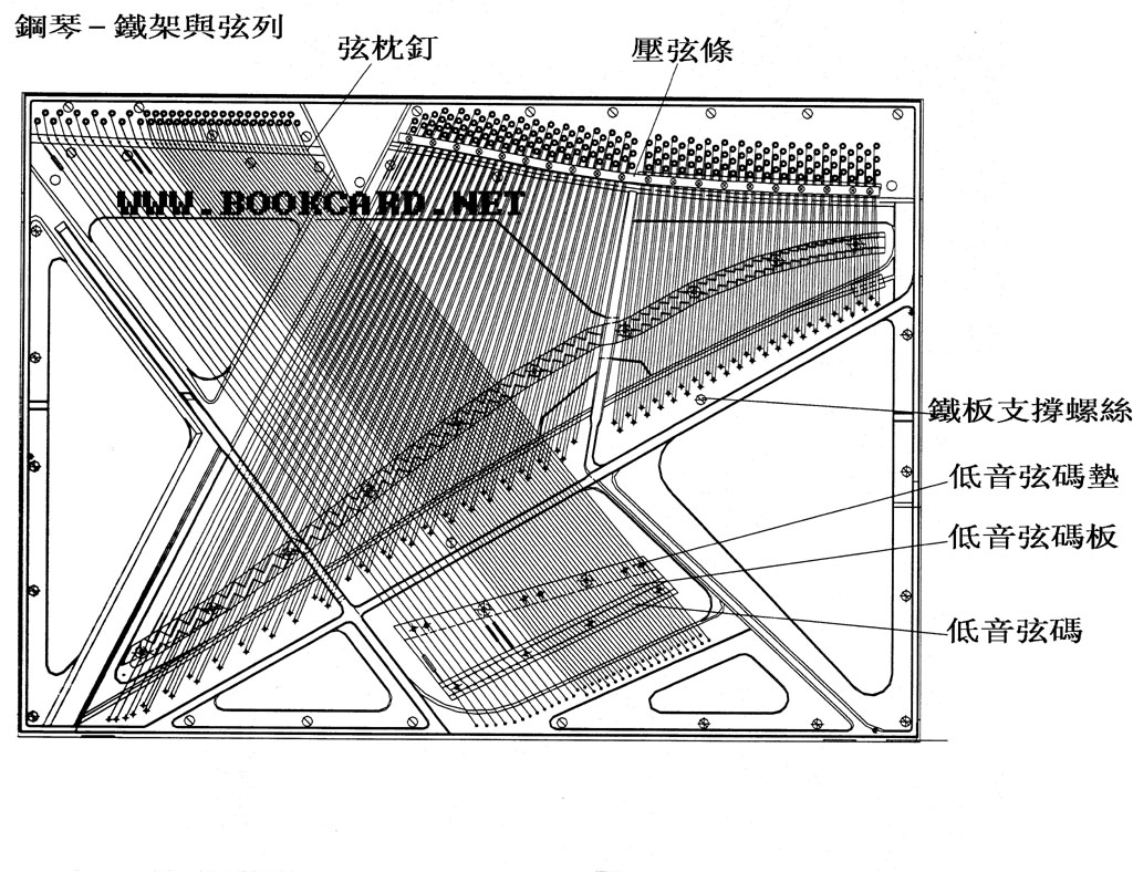鋼琴-弦列
