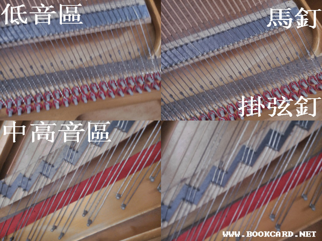 鋼琴-弦列